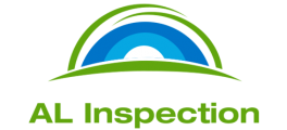 Al inspection